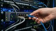 © Sara - Hand carefully inserting blue Ethernet cable into network server port for connectivity