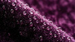 © ain - Close-up of sparkling dew drops on a vibrant purple textured surface