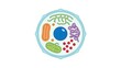 © Yacob - Illustration of a cell structure
