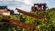 © Salwa - Twisted and corroded metal frame warped and lying amongst overgrown weeds and industrial ruins