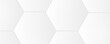 © Ariel - Abstract hexagon white and gray background with dot white gray modern abstract art background