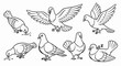 © napi - A collection of seven line drawings depicting pigeons in various activities like eating and flying