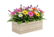 © Jewel - Vibrant flowers in a wooden planter box on transparent background