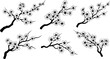 © Jesika! - Cherry blossom branches collection with floral sakura elements elegant black silhouette botanical design vector set