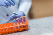 © .shock - Laboratory technician preparing blood samples and vials in a clinical testing lab