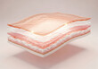 © Laxmico - 3D illustration of transparent skin layers showing hydration and moisture barrier function