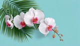 Pastel orchid and palm leaf arrangement on a light teal background