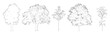 © Manon - Vector set of oak trees in elevation view for use in architectural drawings