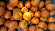 © Ghoni - Bright oranges piled high in a wooden crate. Sunlit, textured skin gleams with natural vibrancy. Fresh fruit fills the frame, inviting and abundant. Perfect for food, wellness