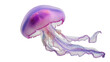© Maria - Translucent purple jellyfish with flowing tentacles, isolated on transparent background