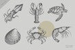 © SAGOR - Vintage sea food set vector illustration. Grunge engraving style Shell, crab, lobster, shrimp, squid, turtle collection