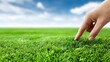 © ZinaZaval - A young man connects with nature as he touches green grass in a field while sunlight shines. The sky adds to the natural scene