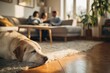 © Popelniushka - Pet-friendly home moment: tranquil dog on the floor while loved ones unwind on the couch