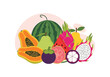 © Amie - Flat style vector illustration of exotic fruit assortment including dragon fruit, mangosteen, papaya, watermelon, and citrus slices arranged in colorful fresh composition