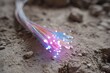 © Alina - Glowing fiber optic cables on dusty ground