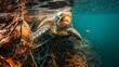 © bephoto - 捨てられた漁網が海洋生物を脅かす海中汚染の環境写真