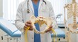 © SUGI - Medical professional holding a human pelvis bone, anatomical study in clinic setting.