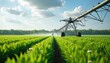 © miss irine - Center pivot irrigation system waters rich green field under cloudy sky. Agricultural machinery sprays water onto rows of young plants, ensuring healthy crop growth and efficient farming.