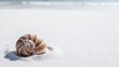© Skyfe - Minimalist Spiral Seashell on White Sand Beach with Copy Space for Mindfulness Wellness Banner
