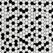 © Naheduzzaman - Hexagonal Grid Pattern with Alternating Black and White Cells