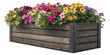 © MdNafiz - Rustic Dark Wood Window Frame with Colorful Spring Flower Box Planter