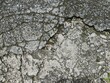 © joo - Textura de piso de cimento velho rachado e com limo