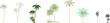 © Riki - Collection of palm tree illustrations in various styles including line drawings, detailed botanical sketches, and simplified vector graphics with different species.