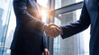 © Talia - Professional business men shaking hands, symbolizing successful partnership, a new agreement, and trust.