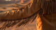 © Natalia - Fringe jacket detail, warm sunlight, bohemian style, desert background