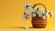 © saira - Fresh bouquet of delicate white chamomile flowers with green stems arranged on bright yellow background capturing natural beauty freshness and minimal floral aesthetic