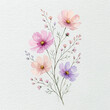 © Photobank - wild flowers on white, watercolor painting