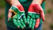 © Fotograf - A person's hands painted with the South African flag, ideal for patriotic or cultural-themed projects