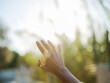 © Anna Tsukanova/Stocksy - Woman's hand on the background of sun rays and greenery in springtime