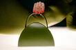 © UM STUDIO/Stocksy - Green Dome Handbag With Handle