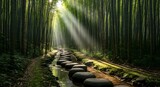 Sunbeams Pierce Through Lush Bamboo Forest Illuminating Stone Path Over Creek