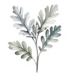 © Sadhana - Soft silver foliage leaves with delicate texture in gentle watercolor.