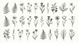 © khairudin - A collection of various wildflowers and plants.