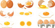 © SAHARA - Fresh chicken egg vector illustration set featuring whole eggs cracked shells fried eggs and yolk for cooking and breakfast food design