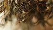 © chiaca - Closeup of dried tea leaves emphasizing clean environment and eco-friendly concepts