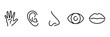 © Ufo - set of five human body part line icons hand ear nose eye mouth sketch