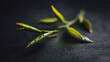 © aylona - Fresh tea leaves on dark surface emphasizing precision, focus, and dedication