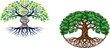 © MdSirazul - Conceptual DNA tree of life vector illustration featuring genomic helix trunk and interconnected roots for biotechnology and environmental branding.
