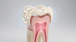 © Loki_Creo - 3D Tooth Cross Section Showing Enamel Dentin Pulp Root With White Glowing Particle