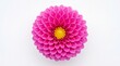 © MDMahfus - A vibrant magenta dahlia flower showing intricate petal patterns with a bright yellow center core