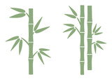 bamboo stalk leaf