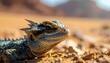 © AisyahHumaira - Intricate close-up of a scaly desert lizard's jeweled eye, showcasing its detailed skin and arid habitat in sharp focus.