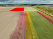 © hansenn - blooming tulip fields
