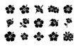 © Reaz - Tropical hibiscus flower silhouettes, set of 15 black floral icons. Exotic Hawaiian bloom vector graphics. Minimalist botanical plant elements for summer design.