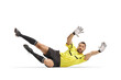 © Ljupco Smokovski - Football goalkeeper trying to save a ball