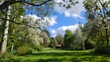 © mila103 - Open grassy glade with distant trees under blue sky springtime scene